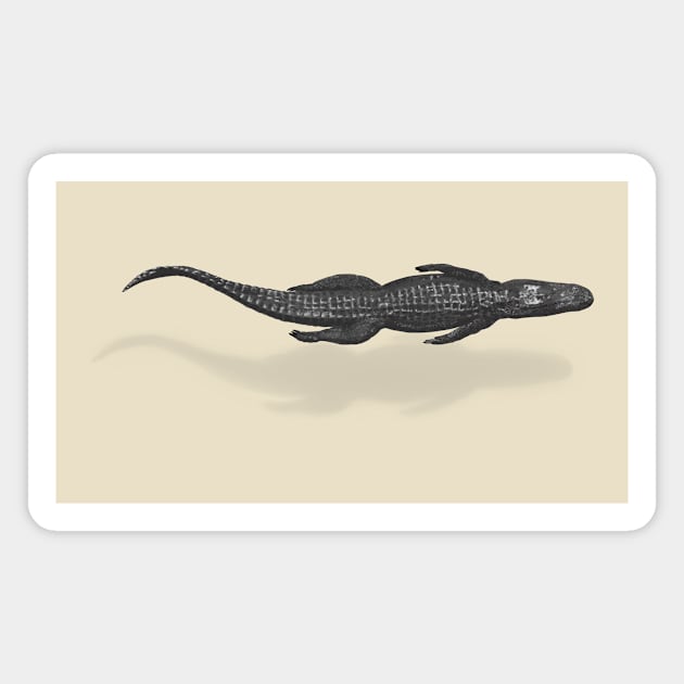 Gator Magnet by 752 Designs